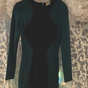 Torn by Ronny Kobo, classic wear to anything dress BRAND NEW WITH TAGS